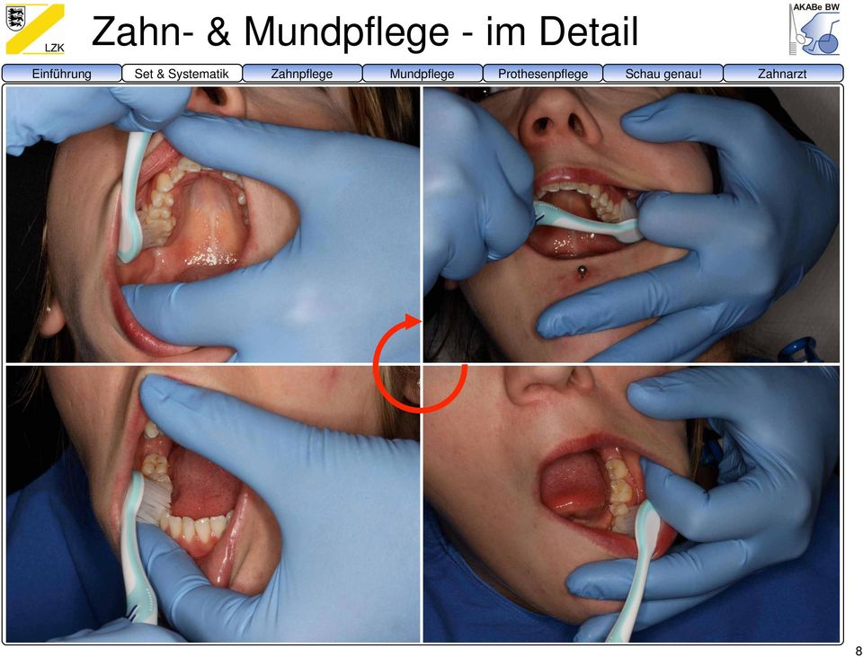 Systematik Zahnpflege