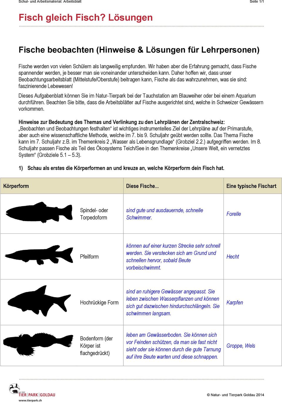 Daher hoffen wir, dass unser Beobachtungsarbeitsblatt (Mittelstufe/Oberstufe) beitragen kann, Fische als das wahrzunehmen, was sie sind: faszinierende Lebewesen!