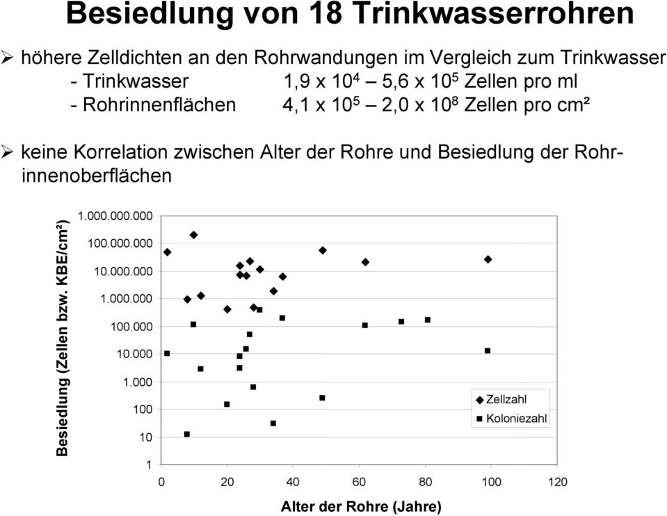 Korrelation zwischen Alter der Rohre und Besiedlung der Rohrinnenoberflächen Besiedlung (Zellen bzw. KBE/cm²) 1.000.