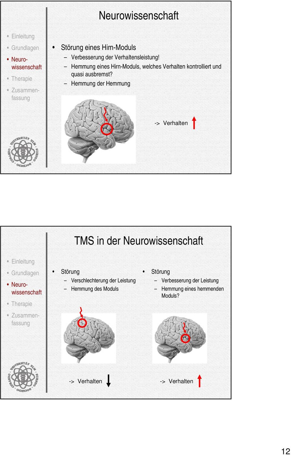 Hemmung der Hemmung -> Verhalten TMS in der Neurowissenschaft Störung Verschlechterung der