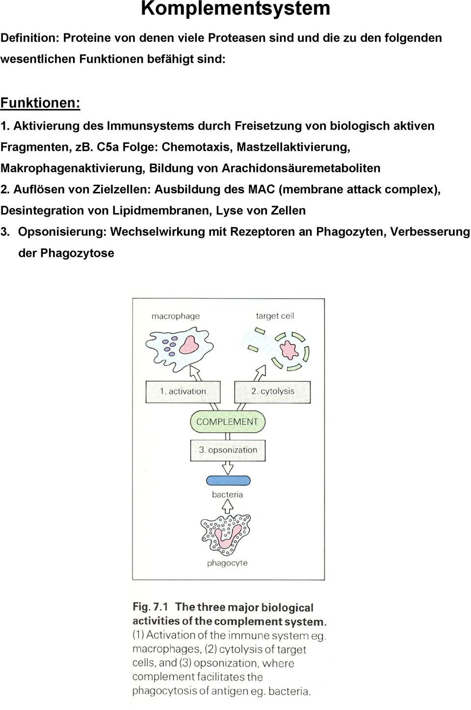 C5a Folge: Chemotaxis, Mastzellaktivierung, Makrophagenaktivierung, Bildung von Arachidonsäuremetaboliten 2.