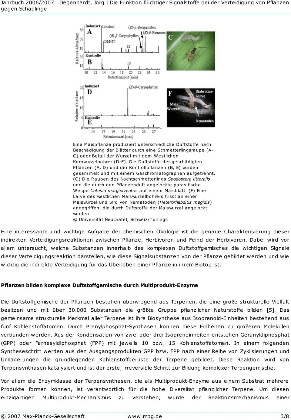 (C) Die Raupen des Nachtschm etterlings Spodoptera littoralis und die durch den Pflanzenduft angelockte parasitische Wespe Cotesia marginiventris auf einem Maisblatt.