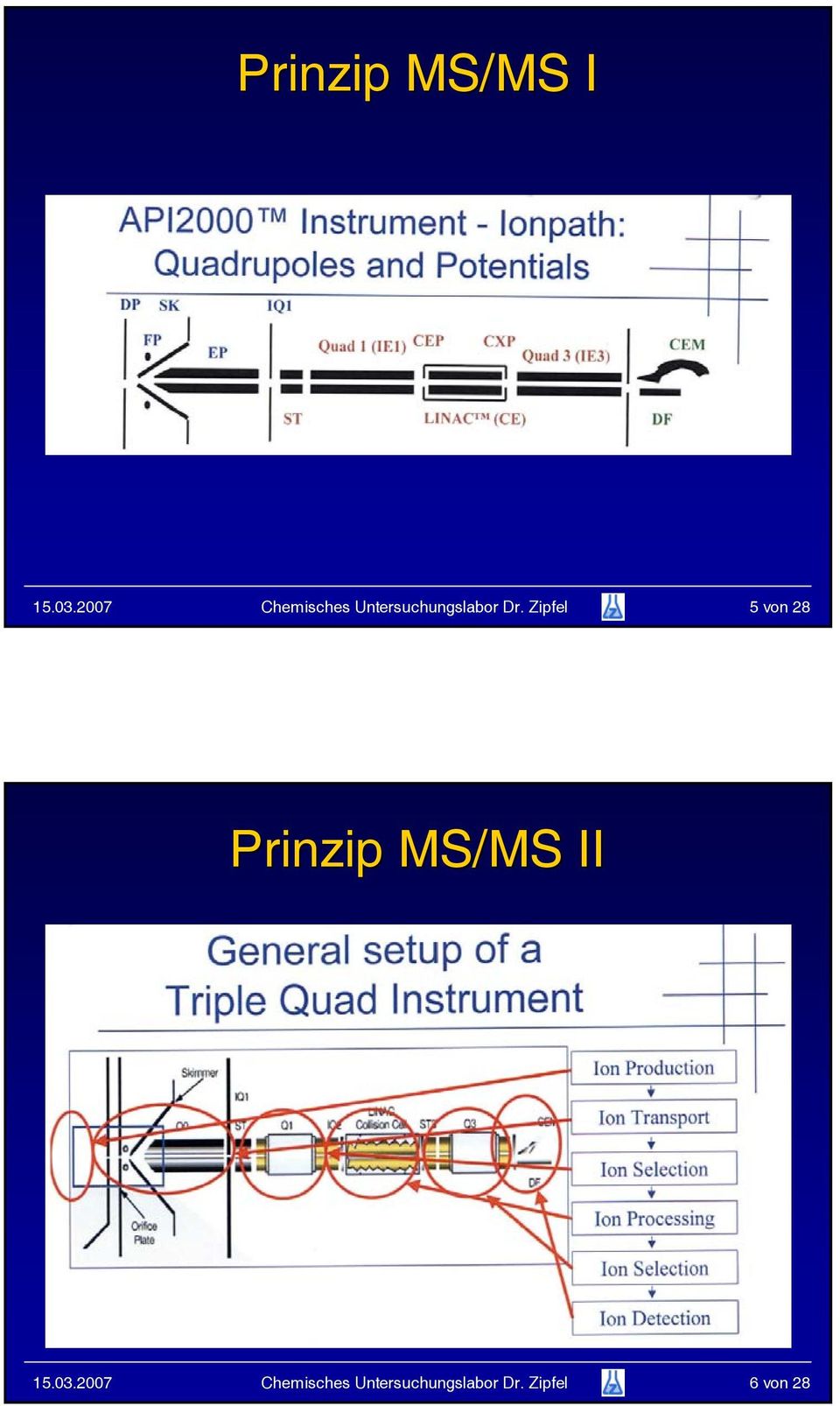 Zipfel 5 von 28 Prinzip MS/MS II 15.03.