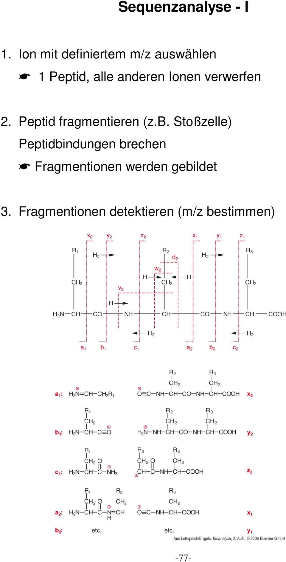 Ionen verwerfen 2. Peptid fragmentieren (z.b.