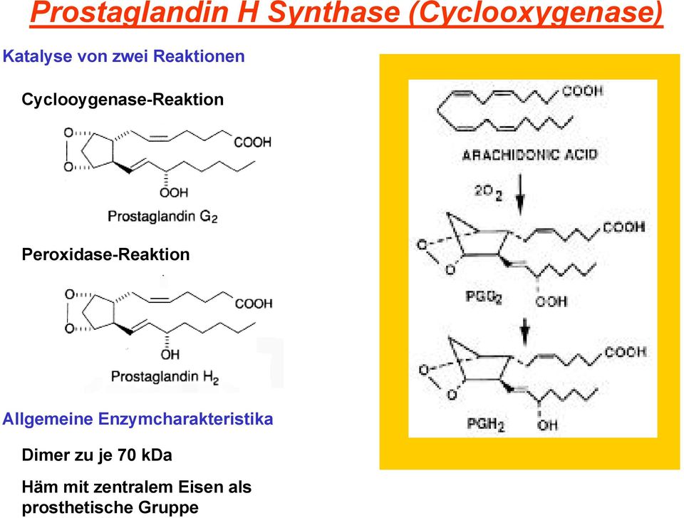 Peroxidase-Reaktion Allgemeine Enzymcharakteristika