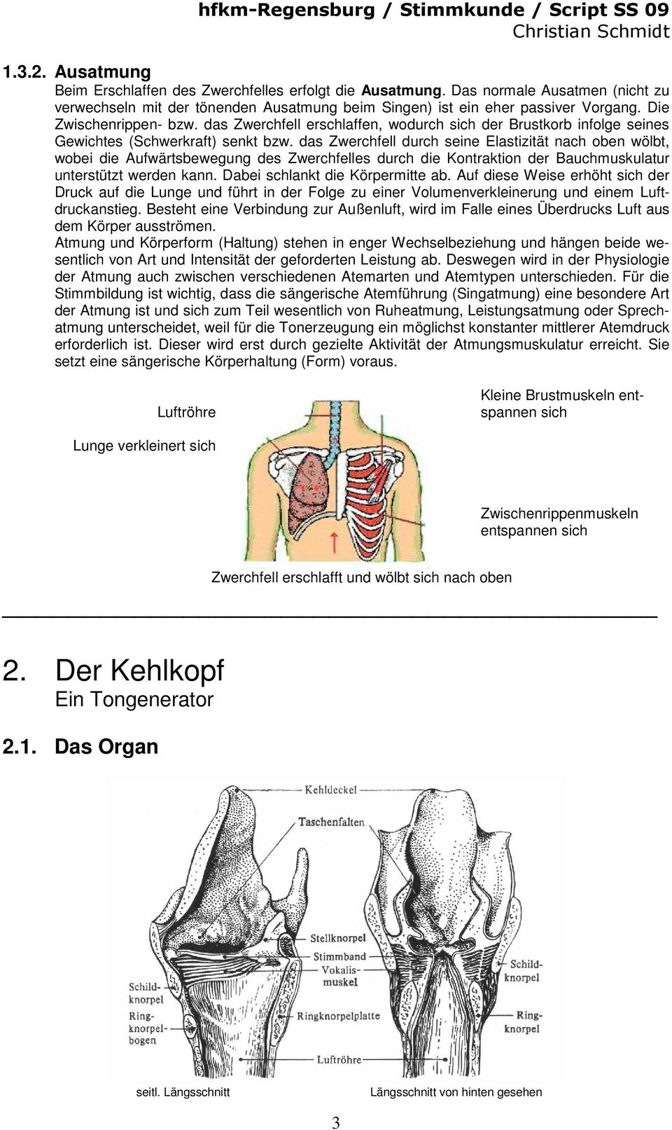 das Zwerchfell durch seine Elastizität nach oben wölbt, wobei die Aufwärtsbewegung des Zwerchfelles durch die Kontraktion der Bauchmuskulatur unterstützt werden kann.