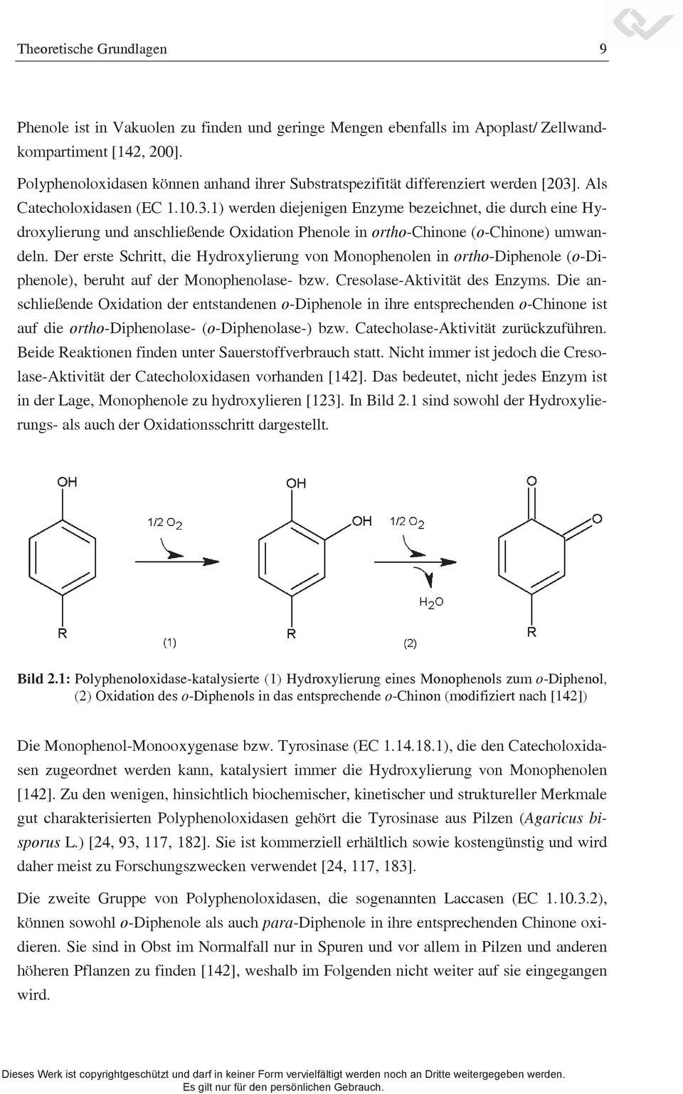 . Als Catecholoxidasen (EC 1.10.3.1) werden diejenigen Enzyme bezeichnet, die durch eine Hydroxylierung und anschließende Oxidation Phenole in ortho-chinone (o-chinone) umwandeln.