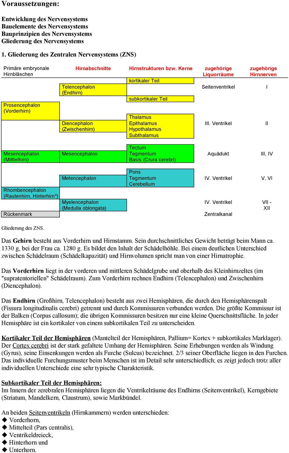 Kerne zugehörige Liquorräume kortikaler Teil Telencephalon Seitenventrikel (Endhirn) subkortikaler Teil Diencephalon (Zwischenhirn) Thalamus Epithalamus Hypothalamus Subthalamus III.