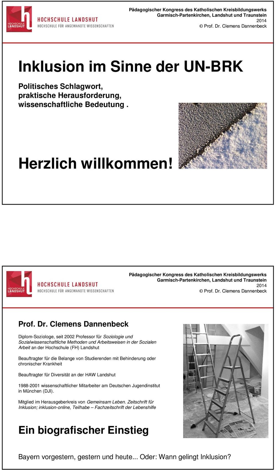 für die Belange von Studierenden mit Behinderung oder chronischer Krankheit Beauftragter für Diversität an der HAW Landshut 1988-2001 wissenschaftlicher Mitarbeiter am Deutschen Jugendinstitut