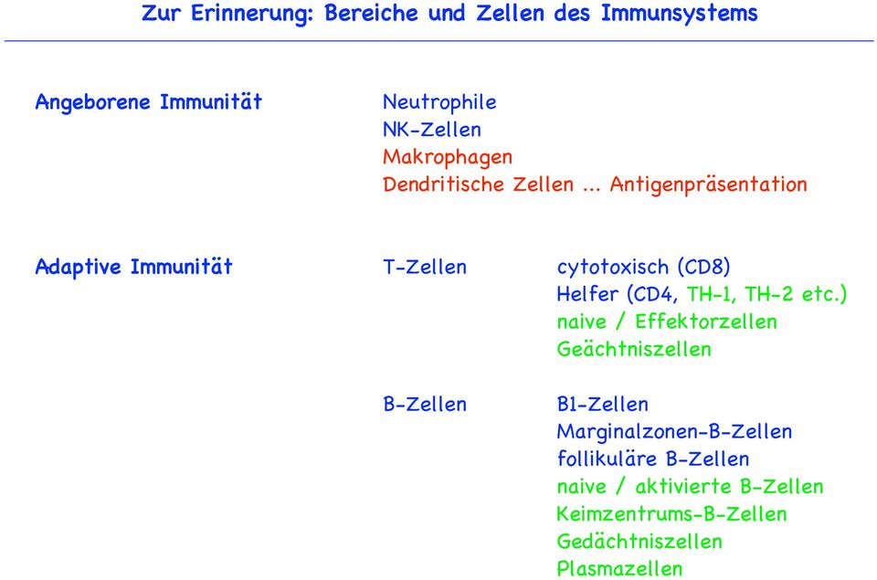 .. Antigenpräsentation Adaptive Immunität T-Zellen cytotoxisch (CD8) Helfer (CD4, TH-1, TH-2 etc.