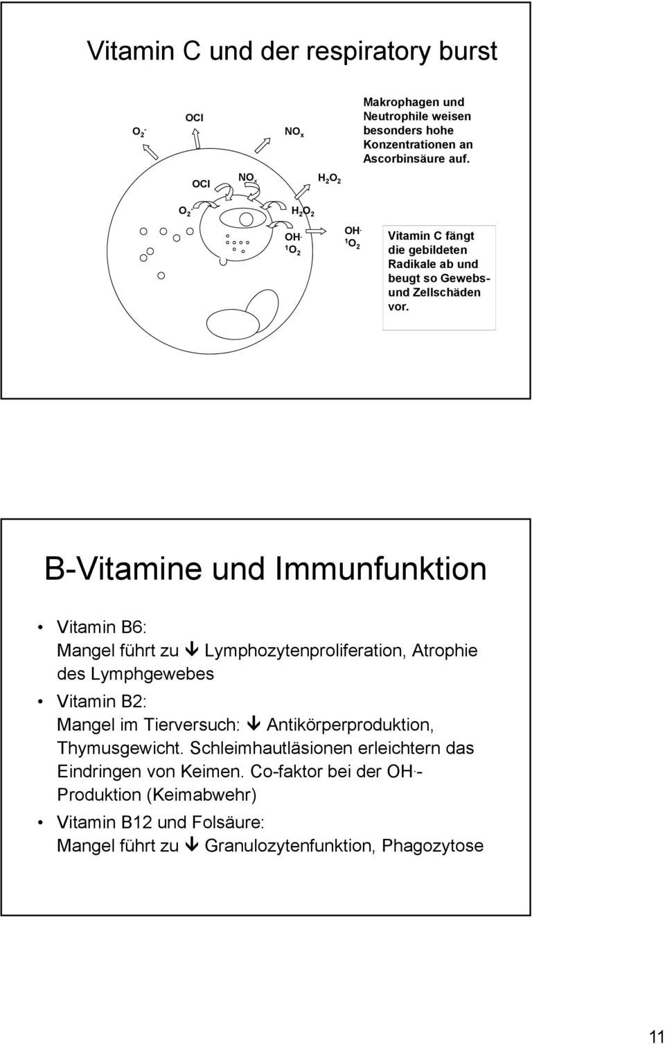 B-Vitamine und Immunfunktion Vitamin B6: Mangel führt zu Lymphozytenproliferation, Atrophie des Lymphgewebes Vitamin B2: Mangel im Tierversuch: