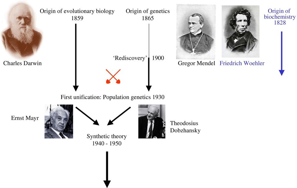 Gregor Mendel Friedrich Woehler First unification: Population