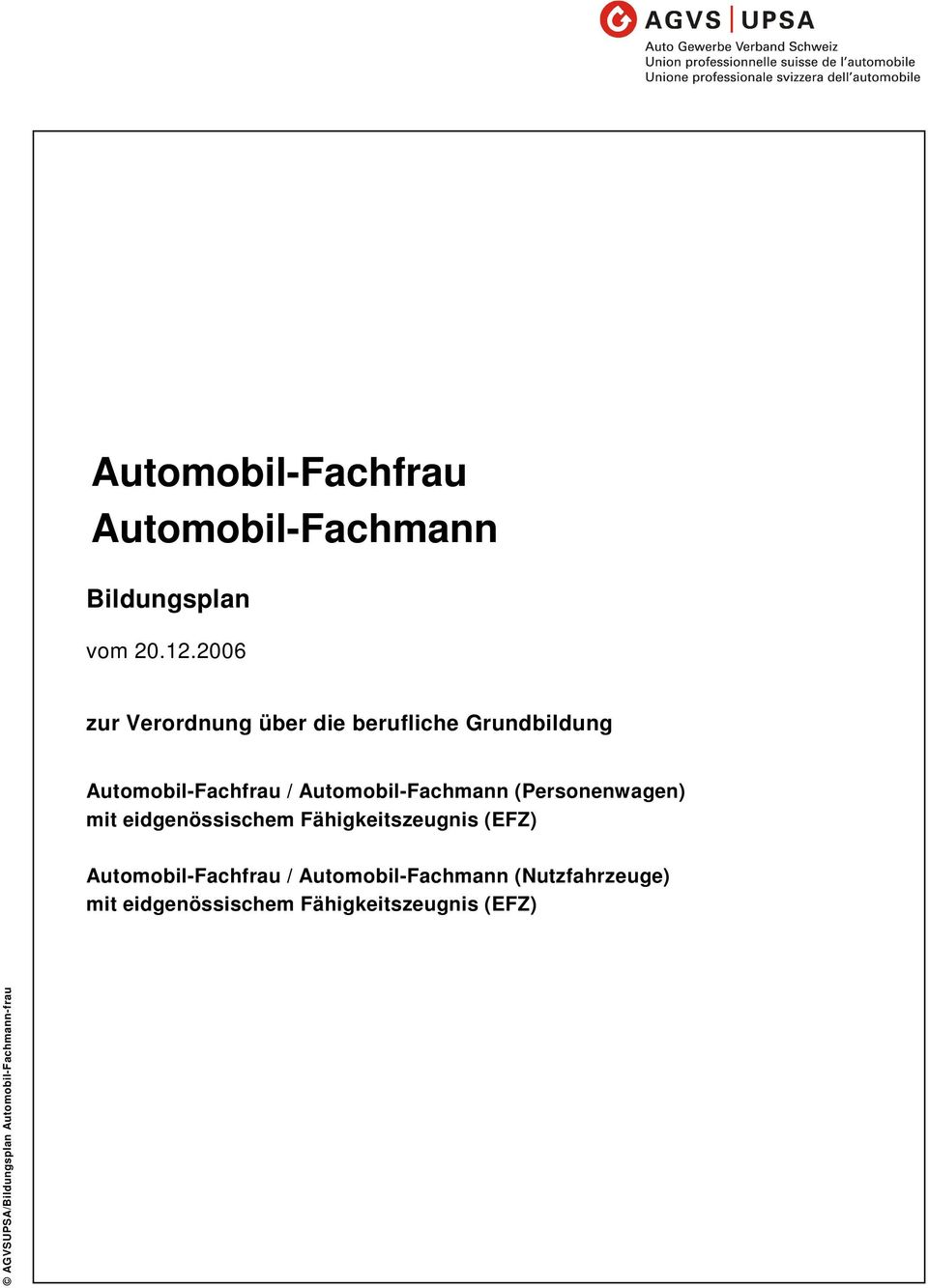 Automobil-Fachmann (Personenwagen) mit eidgenössischem Fähigkeitszeugnis (EFZ)