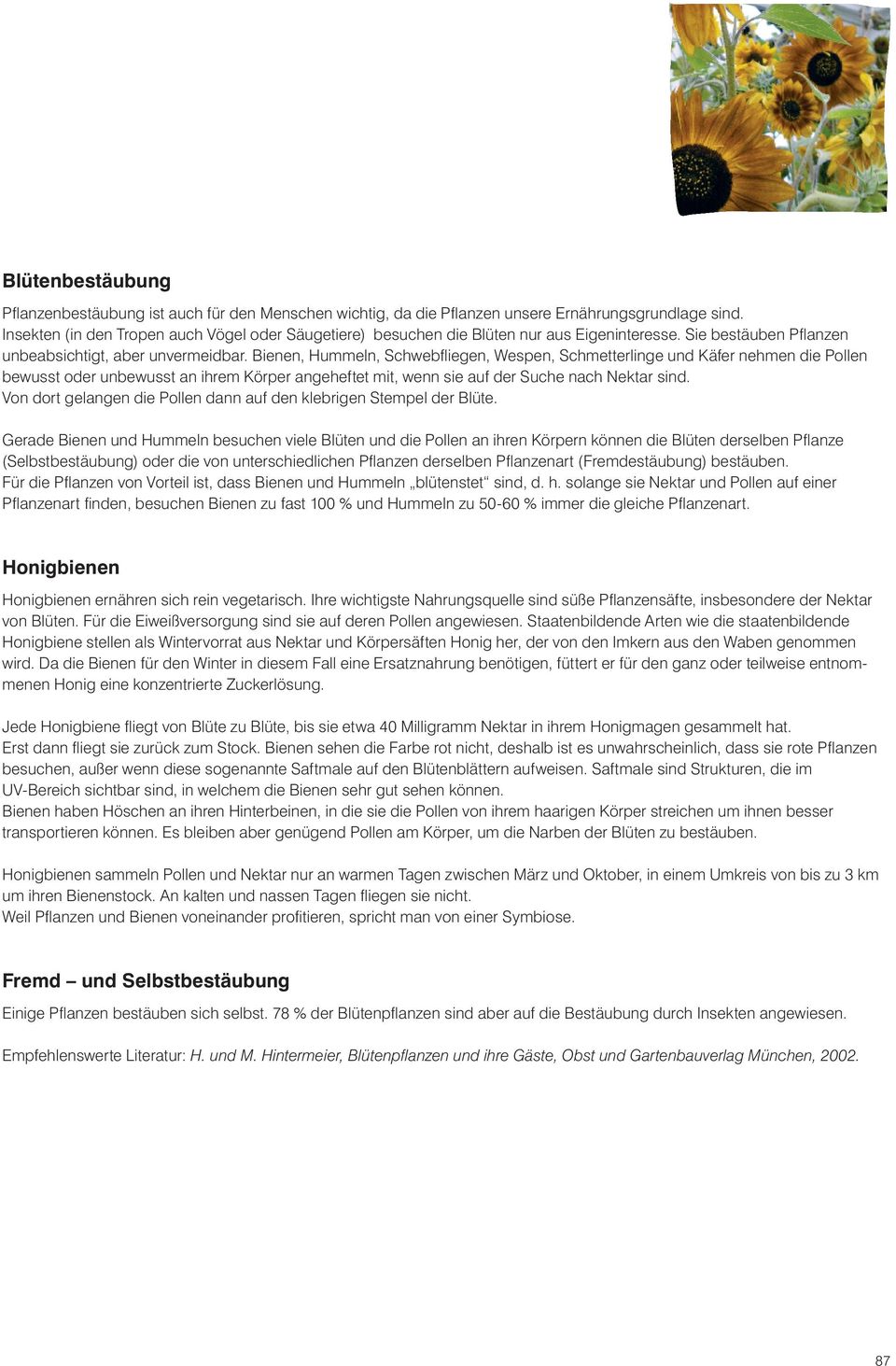 Bienen, Hummeln, Schwebfliegen, Wespen, Schmetterlinge und Käfer nehmen die Pollen bewusst oder unbewusst an ihrem Körper angeheftet mit, wenn sie auf der Suche nach Nektar sind.