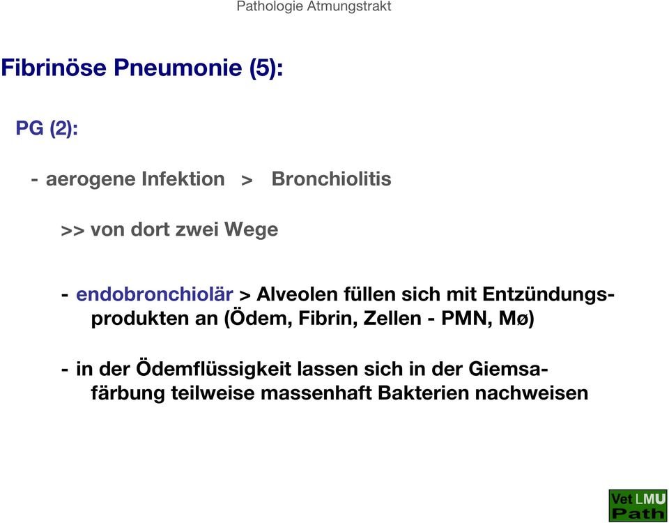 Entzündungsprodukten an (Ödem, Fibrin, Zellen - PMN, Mø) - in der