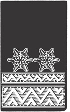 Landesfeuerwehrverband Steiermark Dienstgrad (schwarzer Blusenaufschlag aus Tuch) Löschmeister (LM) d.s. 15 mm breite Silberborte an der vorderen Seite und eine Weißmetall-Sternrosette Oberlöschmeister (OLM) d.
