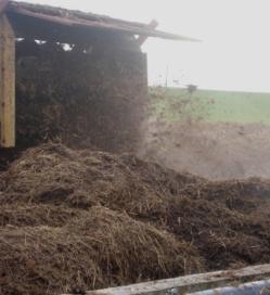 Pferdemist als Futter für Biogasfermenter? Mehr als 1 Mio.