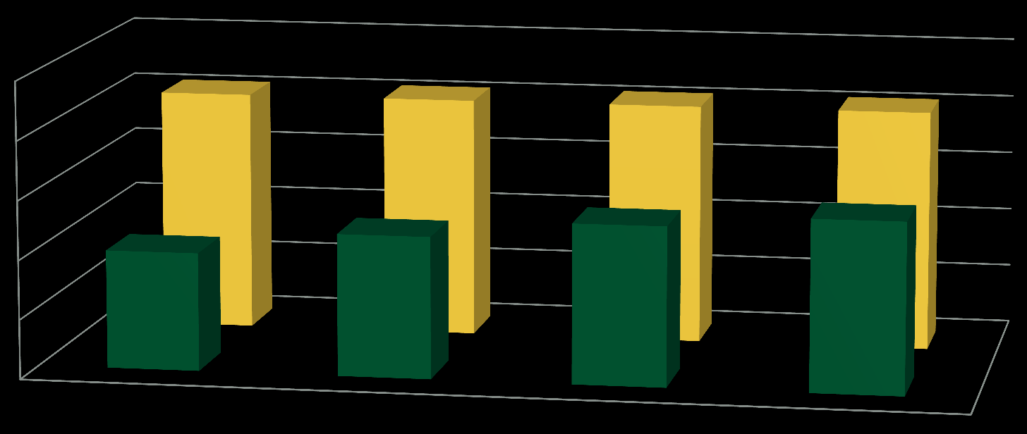 Aktuelle wirtschaftliche Situation (Ausblick Einnahmen) Vergleich der Einnahmen (in USD) 25.000 20.000 15.000 10.