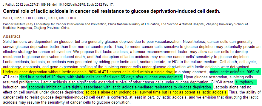 Lacat-azidose ermöglicht erst Tumorzellen Zucker-Deprivation zu