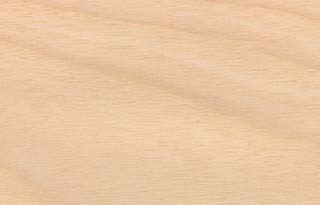 Ahorn (maple): Europäisches Laubholz weißes bis gelblich weißes Holz mittelhartes, festes Holz (Festigkeit des Holzes, Hartholz), sehr zäh, gute Verarbeitungsmöglichkeiten, gute Oberflächenbehandlung