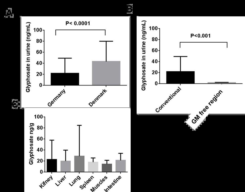 Nachweis von Glyphosat in Urinen, Organen und Fleisch von Milchkühen BRD Krüger et al.