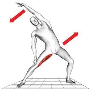Quadriceps (Oberschenkelmuskel) Ausgangsposition: Stellen Sie sich in Schrittstellung hin. Beugen Sie das Knie des vorderen Beines um ca. 40.