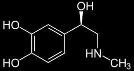 Phenylethylamine Amphetamine Cathinone Adrenalin Hill et al