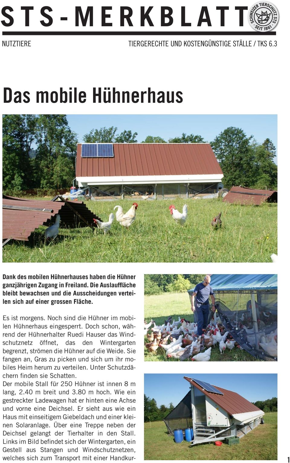 Doch schon, während der Hühnerhalter Ruedi Hauser das Windschutznetz öffnet, das den Wintergarten begrenzt, strömen die Hühner auf die Weide.