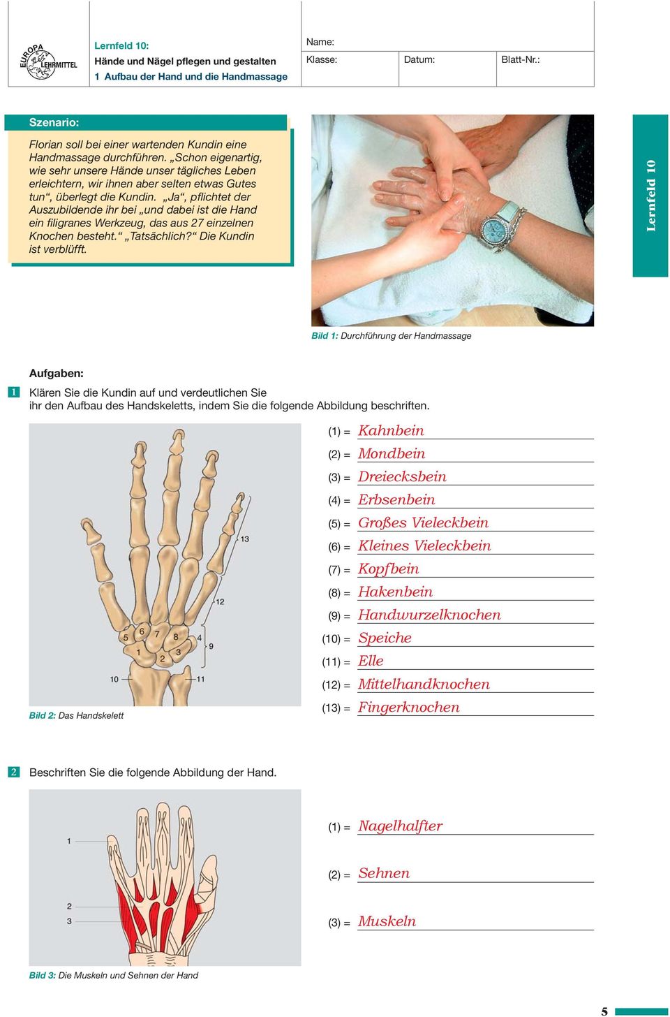 Ja, pflichtet der Auszubildende ihr bei und dabei ist die Hand ein filigranes Werkzeug, das aus 27 einzelnen Knochen besteht. Tatsächlich? Die Kundin ist verblüfft.