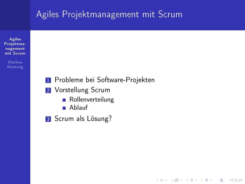 Probleme bei Software-Projekten 2 Vorstellung