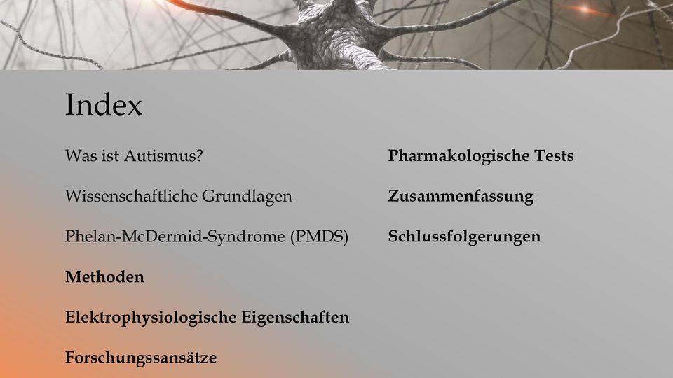 Phelan-McDermid-Syndrome (PMDS) Pharmakologische