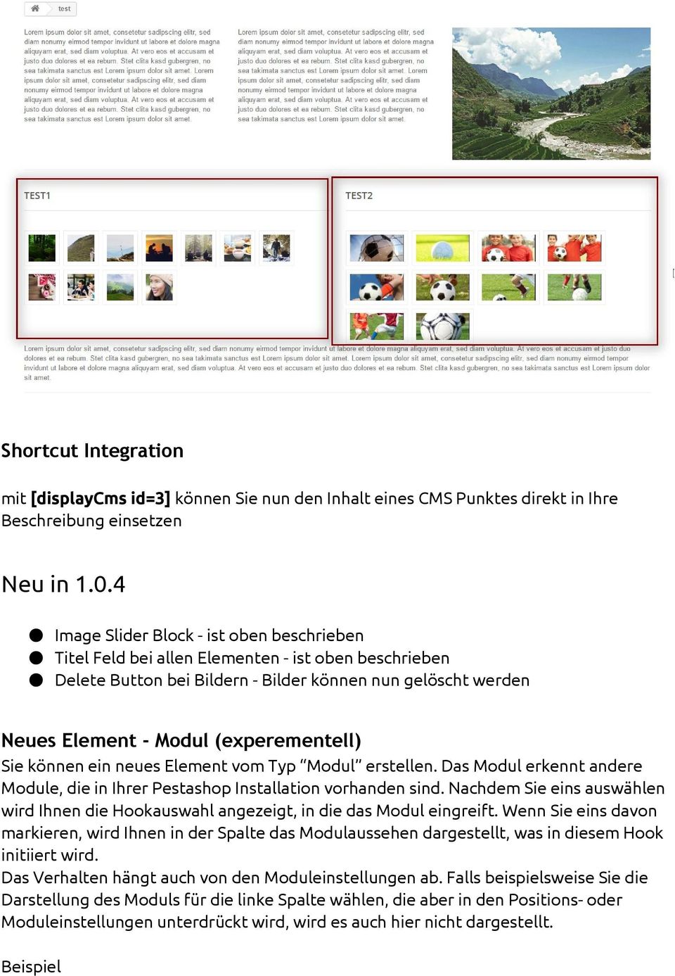 Sie können ein neues Element vom Typ Modul erstellen. Das Modul erkennt andere Module, die in Ihrer Pestashop Installation vorhanden sind.