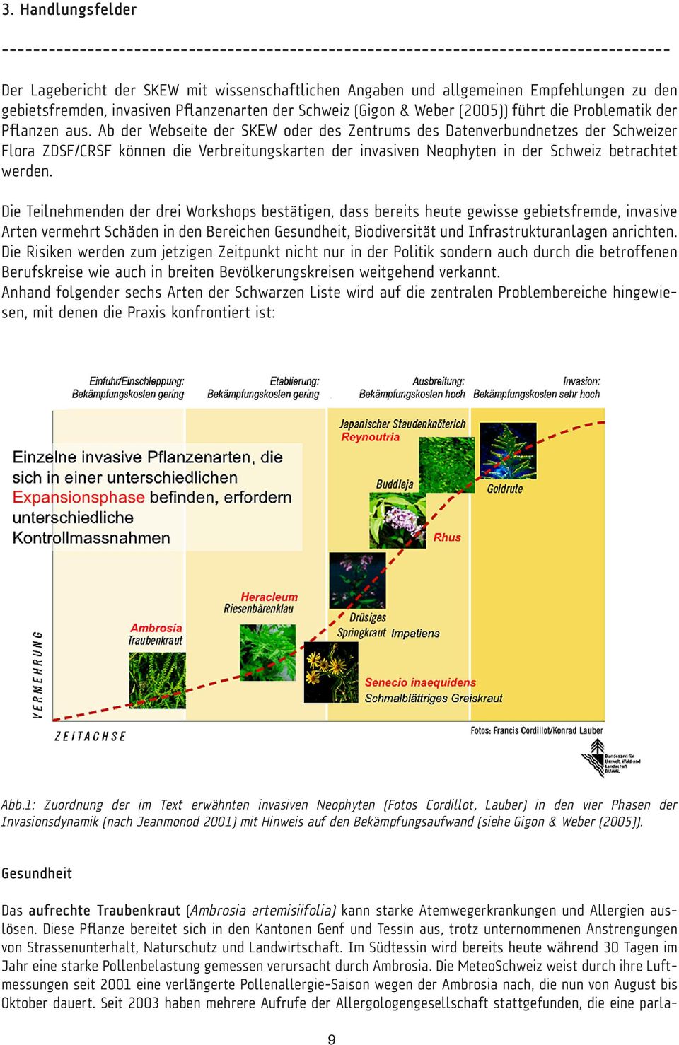 Ab der Webseite der SKEW oder des Zentrums des Datenverbundnetzes der Schweizer Flora ZDSF/CRSF können die Verbreitungskarten der invasiven Neophyten in der Schweiz betrachtet werden.