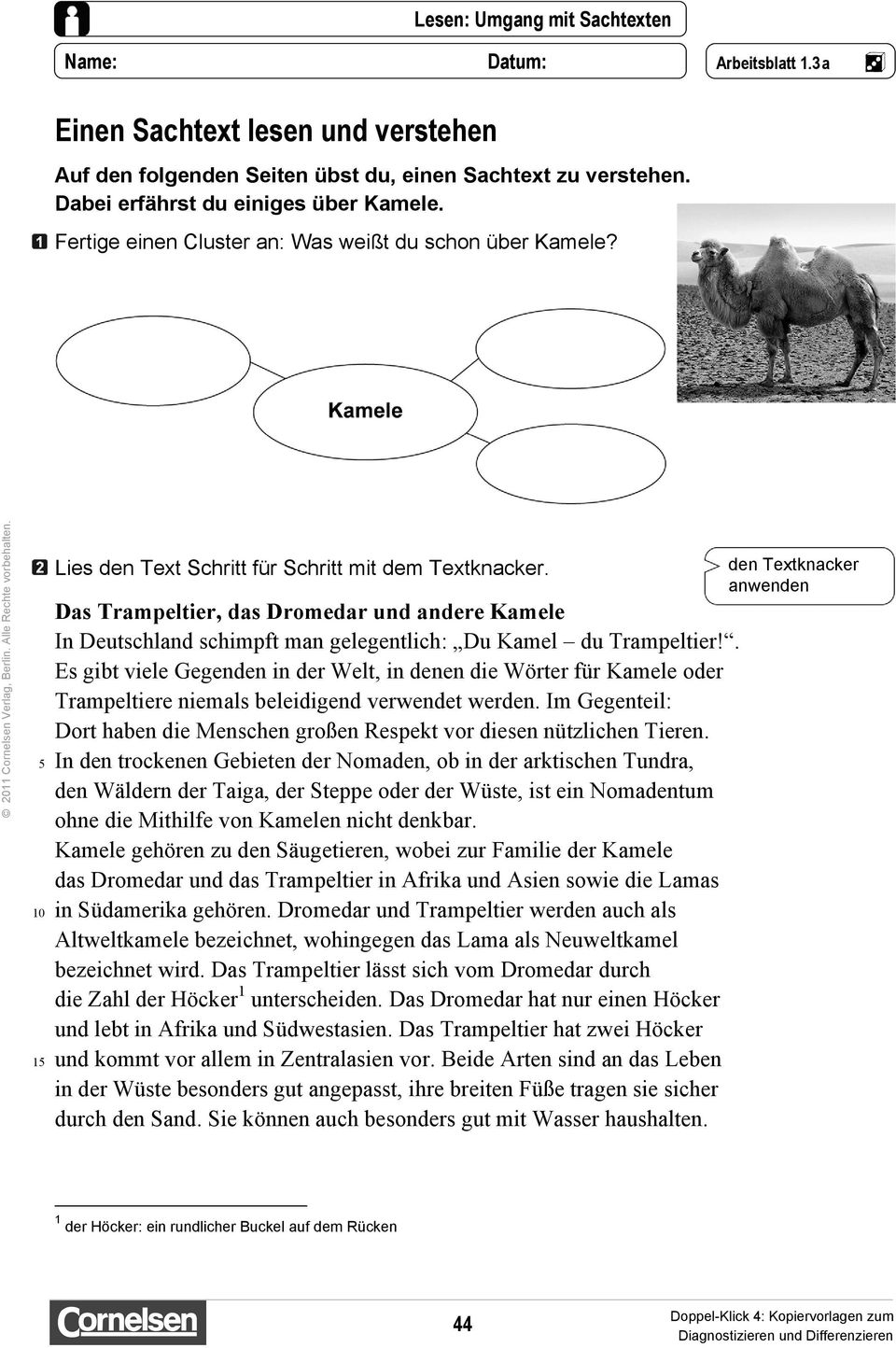 . Es gibt viele Gegenden in der Welt, in denen die Wörter für Kamele oder Trampeltiere niemals beleidigend verwendet werden.