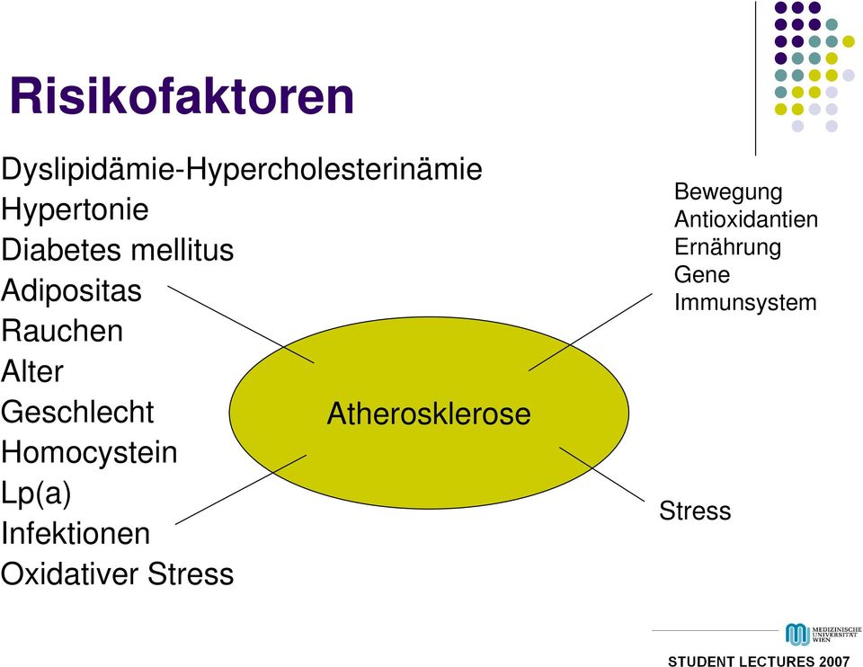 Geschlecht Atherosklerose Homocystein Lp(a) Infektionen
