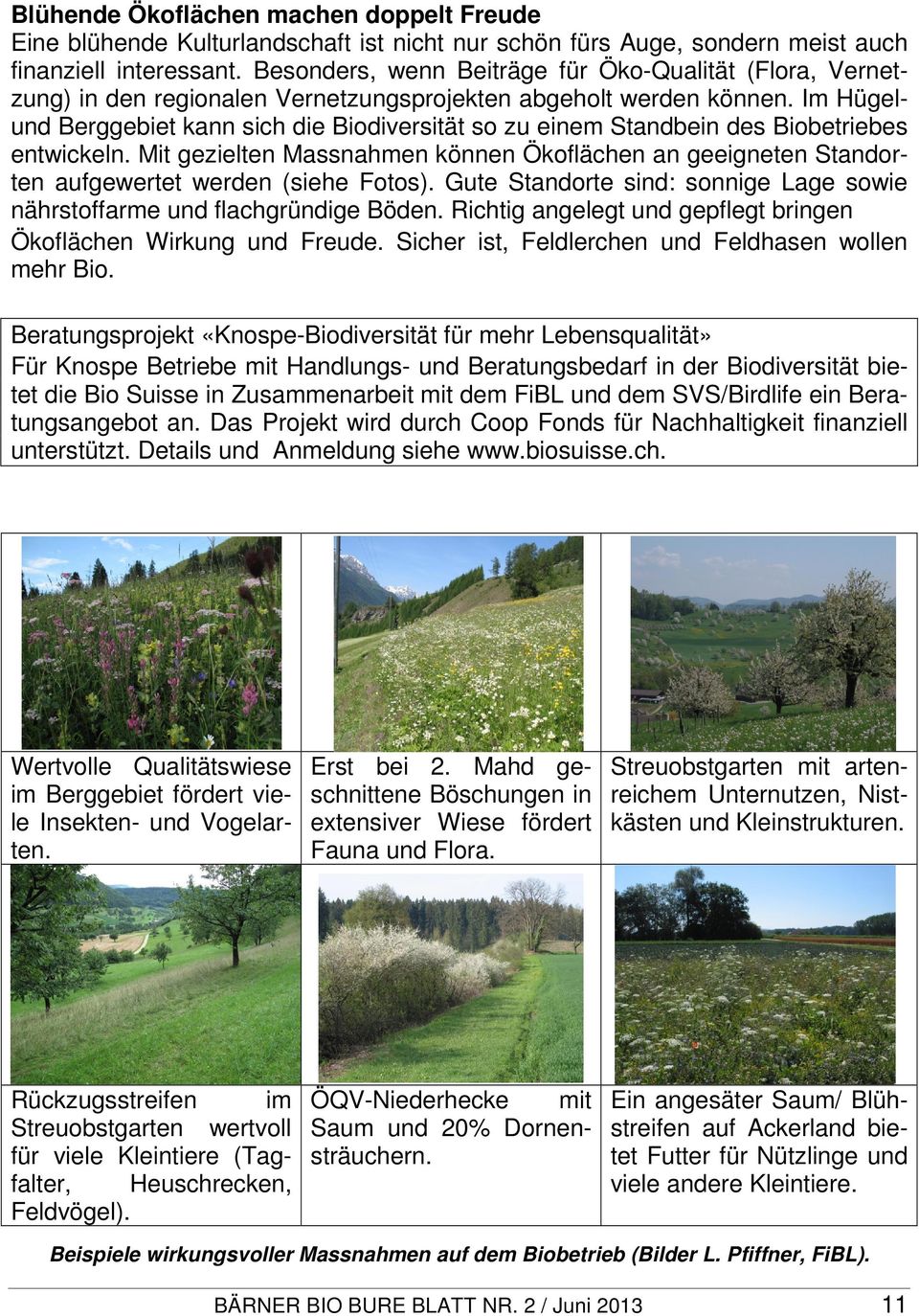 Im Hügelund Berggebiet kann sich die Biodiversität so zu einem Standbein des Biobetriebes entwickeln.