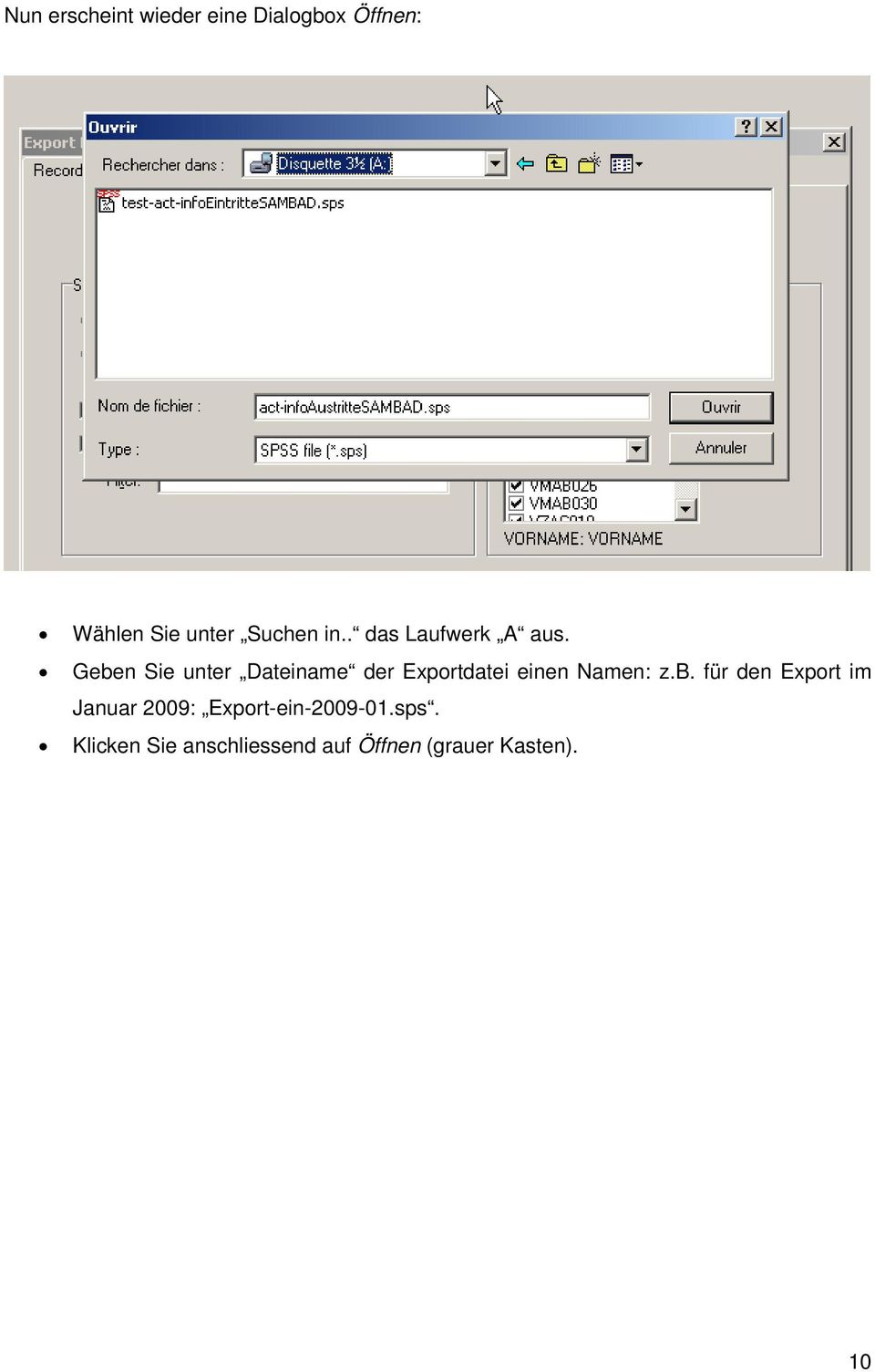 Geben Sie unter Dateiname der Exportdatei einen Namen: z.b. für den Export im Januar 2009: Export-ein-2009-01.