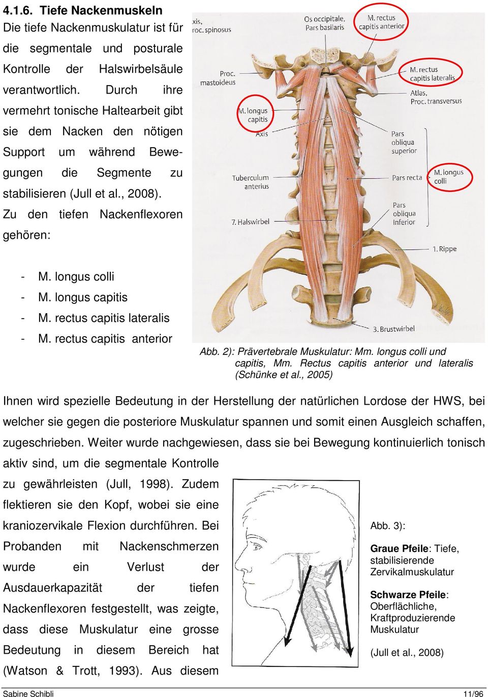 longus colli - M. longus capitis - M. rectus capitis lateralis - M. rectus capitis anterior Abb. 2): Prävertebrale Muskulatur: Mm. longus colli und capitis, Mm.