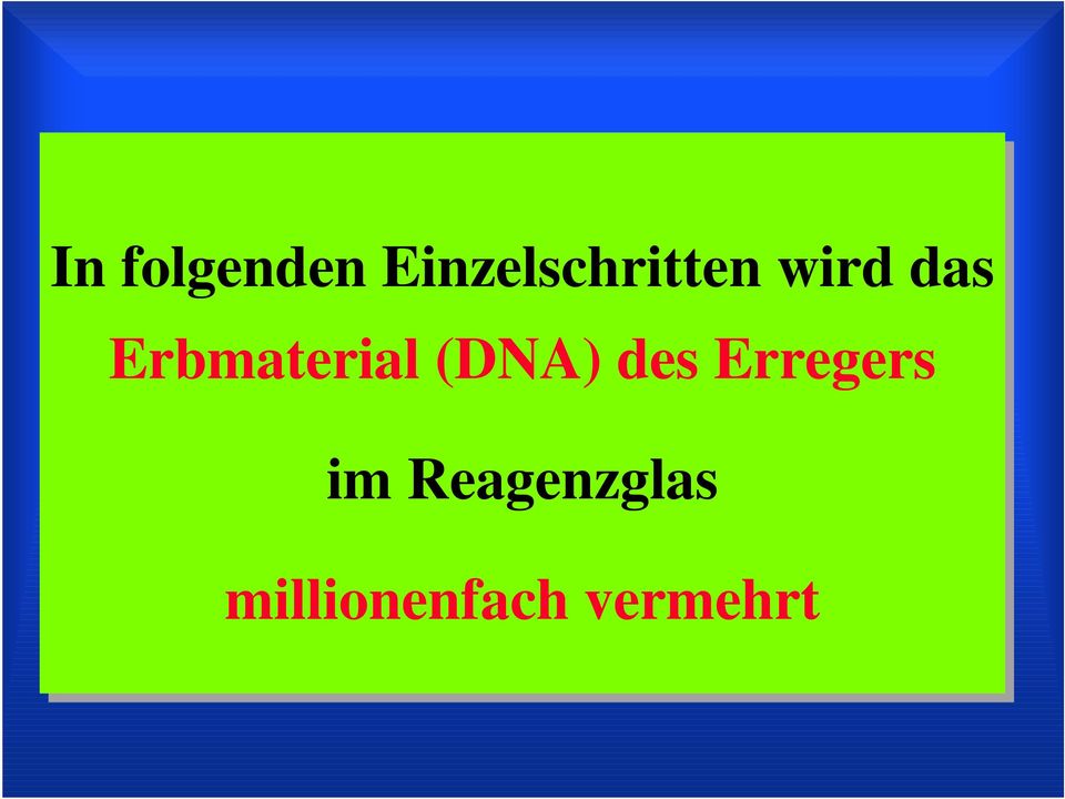 Erbmaterial (DNA) des