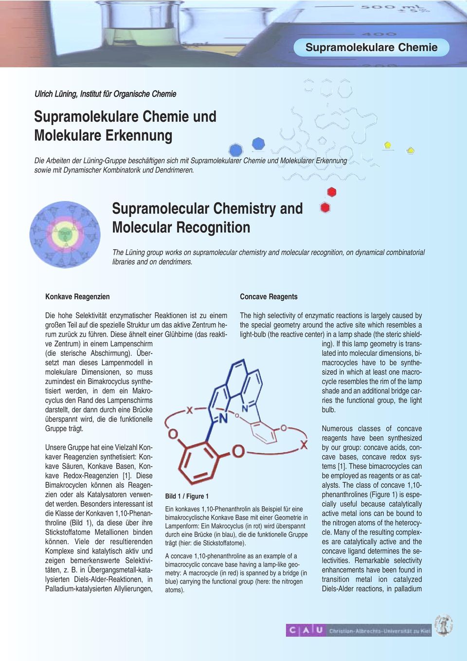 Supramolecular Chemistry and Molecular Recognition The Lüning group works on supramolecular chemistry and molecular recognition, on dynamical combinatorial libraries and on dendrimers.