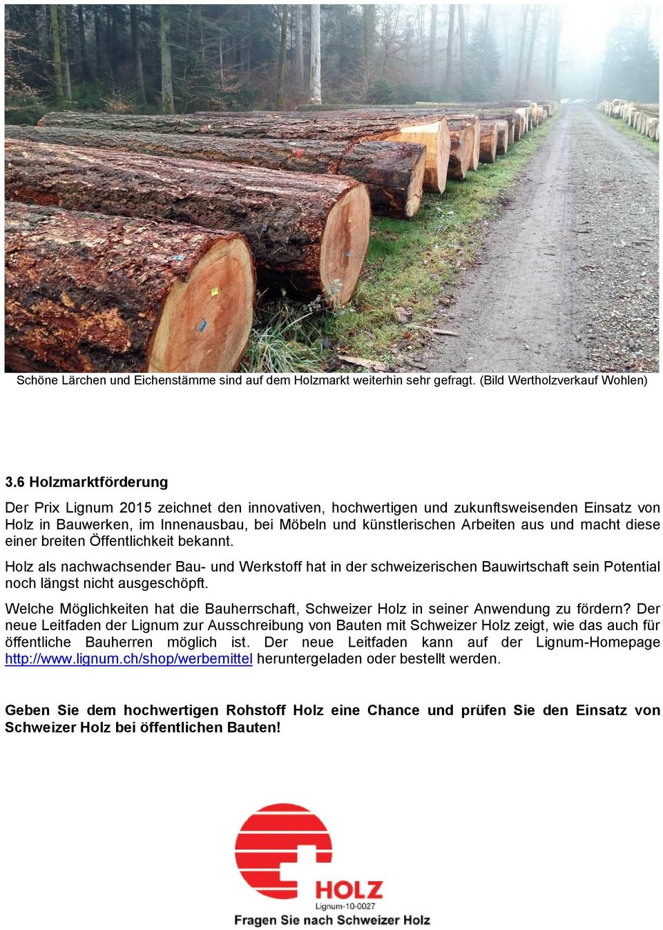 macht diese einer breiten Öffentlichkeit bekannt. Holz als nachwachsender Bau- und Werkstoff hat in der schweizerischen Bauwirtschaft sein Potential noch längst nicht ausgeschöpft.