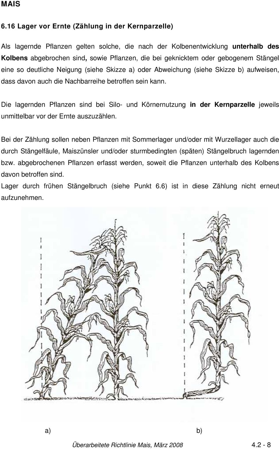 Die lagernden Pflanzen sind bei Silo- und Körnernutzung in der Kernparzelle jeweils unmittelbar vor der Ernte auszuzählen.