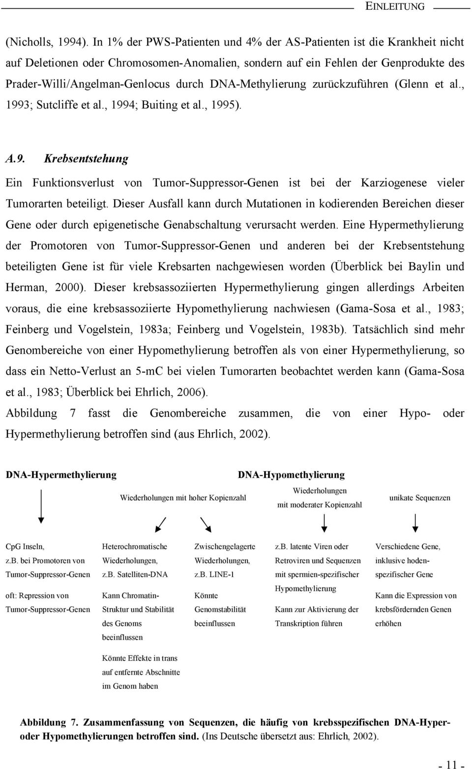 DNA-Methylierung zurückzuführen (Glenn et al., 1993; Sutcliffe et al., 1994; Buiting et al., 1995). A.9. Krebsentstehung Ein Funktionsverlust von Tumor-Suppressor-Genen ist bei der Karziogenese vieler Tumorarten beteiligt.