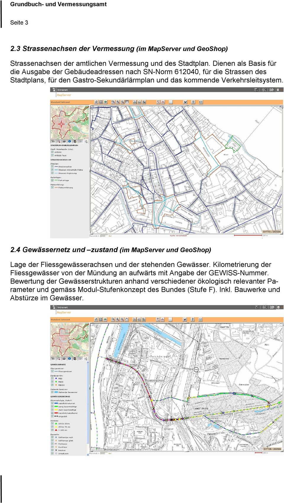 Verkehrsleitsystem. 2.4 Gewässernetz und zustand (im MapServer und GeoShop) Lage der Fliessgewässerachsen und der stehenden Gewässer.