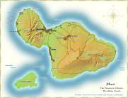 INSEL MAUI MAUI HÖHEPUNKTE Walbeobachtung Zwischen Dezember und April ist der Auau Channel zwischen den Inseln Maui, Lana`i und Moloka'i einer der besten Orte der Welt, um Wale hautnah zu beobachten.