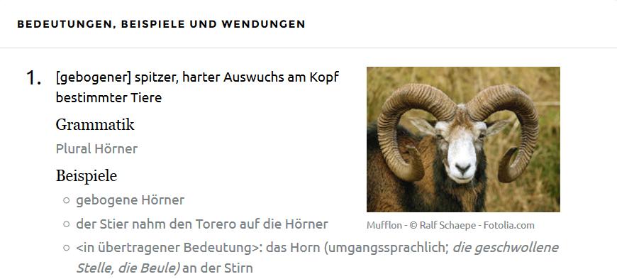 http://www.duden.de/rechtschreibung/horn Synonyme: Tierhorn http://d-nb.info/gnd/4160661-9; Horn (Tierbestandteil); Gehörn http://www.spektrum.