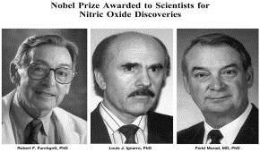 1980 Furchgott, Ignarro & Murad discover Nitric-Oxide s role in CV regulation.