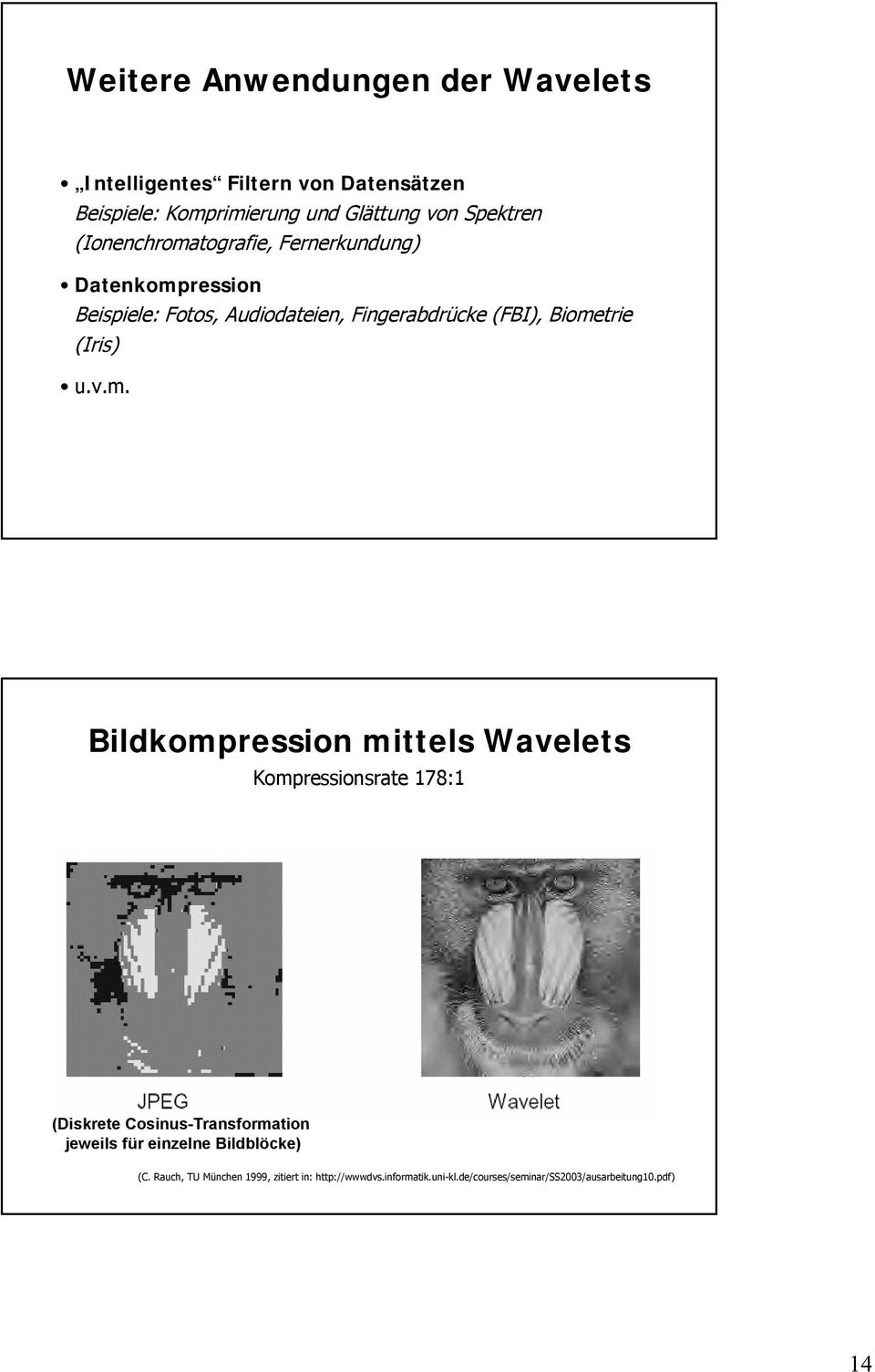 Biometrie (Iris) u.v.m. Bildkompression mittels Wavelets Kompressionsrate 78: (Diskrete Cosinus-Transformation jeweils