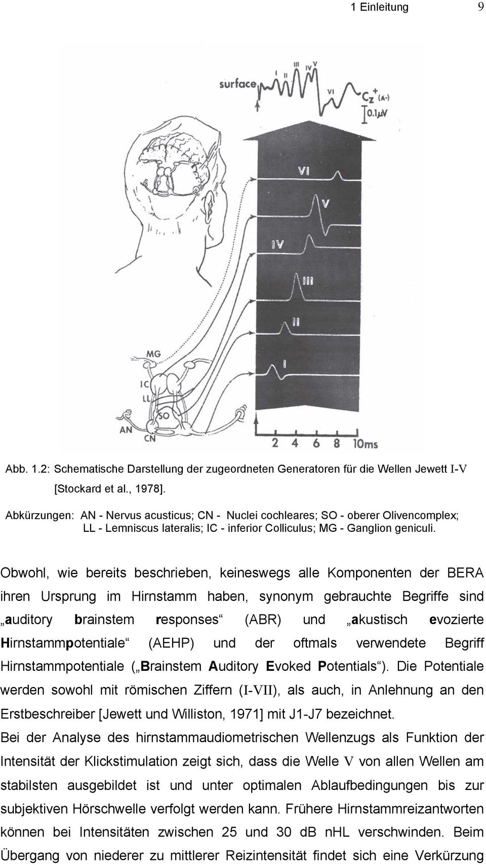 Obwohl, wie bereits beschrieben, keineswegs alle Komponenten der BERA ihren Ursprung im Hirnstamm haben, synonym gebrauchte Begriffe sind auditory brainstem responses (ABR) und akustisch evozierte