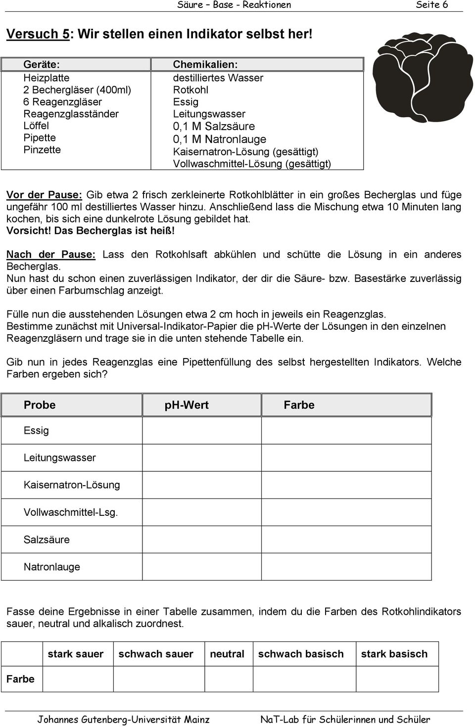 Vollwaschmittel-Lösung (gesättigt) Vor der Pause: Gib etwa 2 frisch zerkleinerte Rotkohlblätter in ein großes Becherglas und füge ungefähr 100 ml hinzu.